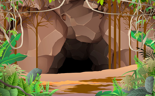 landscape of cave in the jungle