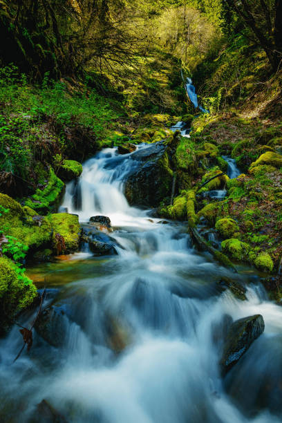 スプリング・ランノフ - north cascades national park glacier vertical photography ストックフォトと画像