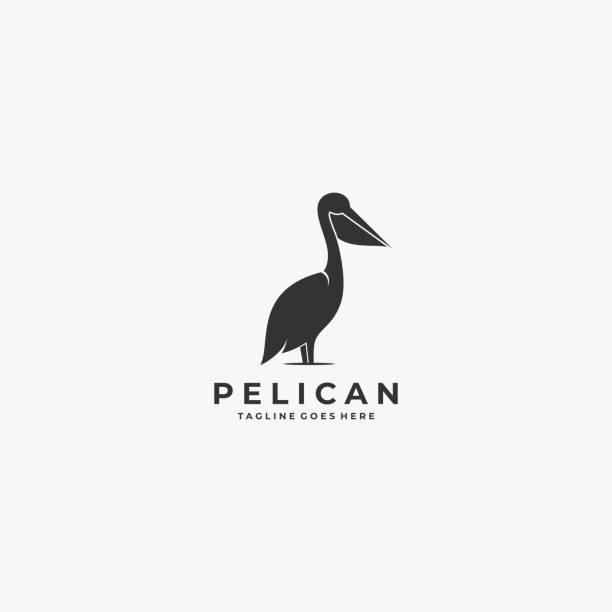illustrations, cliparts, dessins animés et icônes de vector illustration pelican silhouette style. - pélican
