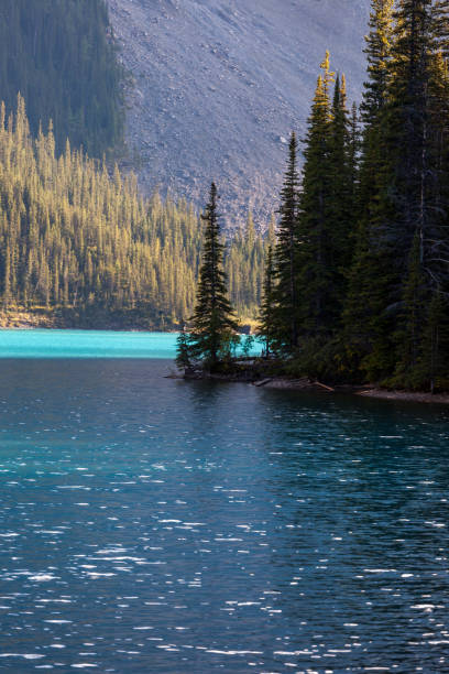 istock Lake Louise in Banff National Park 1210675509