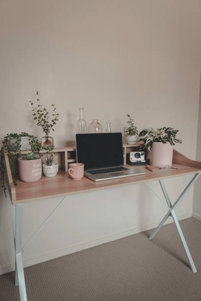 istock Laptop open on desk with plants and pink decor 1210676011