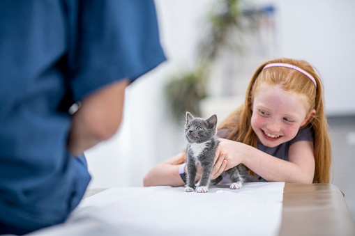 A young girl with red hair stands beside an exam table with her new kitten as she holds him still for a check up.  She is dressed casually and smiling as she holds the kitten still and safely in place.  The male veterinarian is wearing blue scrubs and has his back towards the camera.