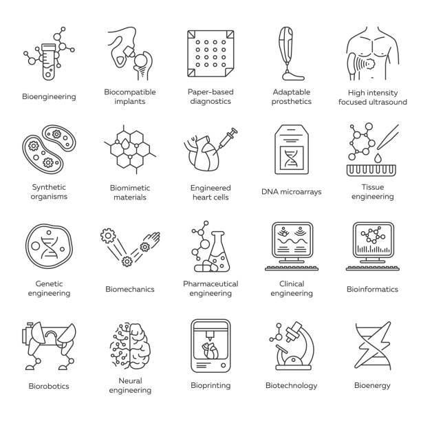 Bioengineering linear icons set. Biotechnology. Diseases treatment, genetic engineering, artificial intelligence. Thin line contour symbols. Isolated vector outline illustrations. Editable stroke Bioengineering linear icons set. Biotechnology. Diseases treatment, genetic engineering, artificial intelligence. Thin line contour symbols. Isolated vector outline illustrations. Editable stroke medical technology stock illustrations