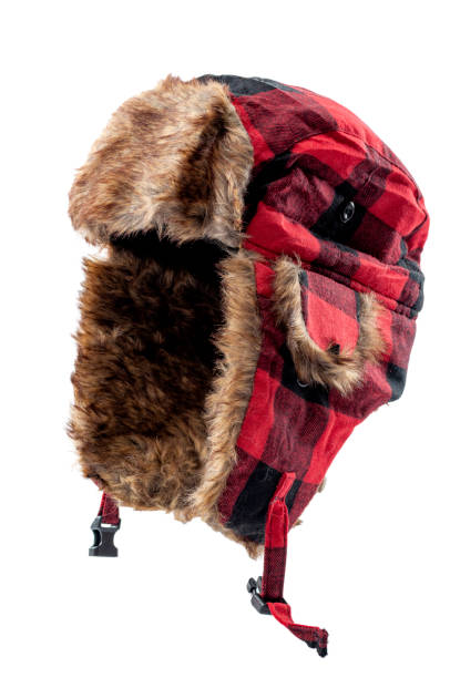 istock Cold weather clothing concept with bomber or aviator style fur hat isolated on white background with clipping path cutout using ghost mannequin technique 1210690892