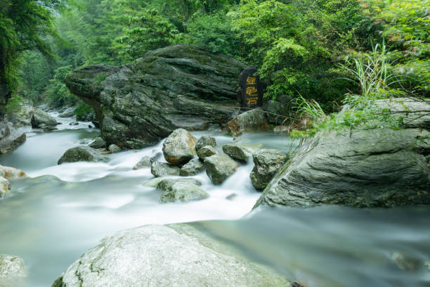 istock Water resources protection, environmental protection, green energy conservation. 1210691976