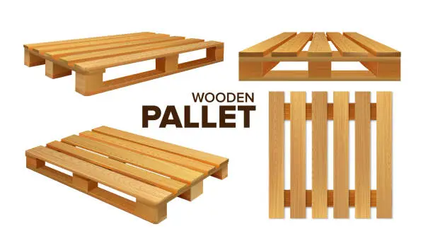 Vector illustration of Wooden Pallet Different Size Collection Set Vector