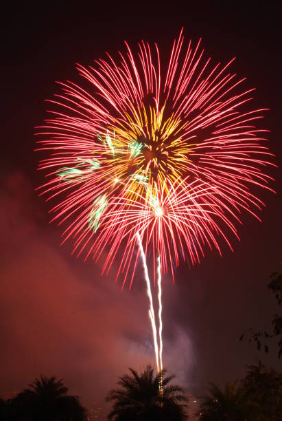 fuegos artificiales rojos y amarillos. - single hit fotografías e imágenes de stock