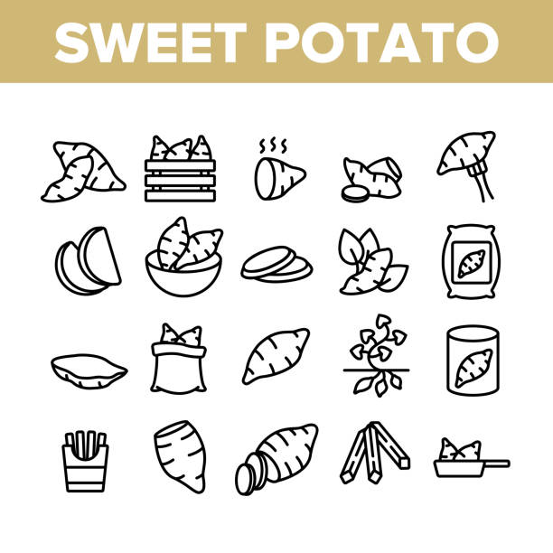 ilustrações, clipart, desenhos animados e ícones de ícones da coleção batata batata - sweet potato