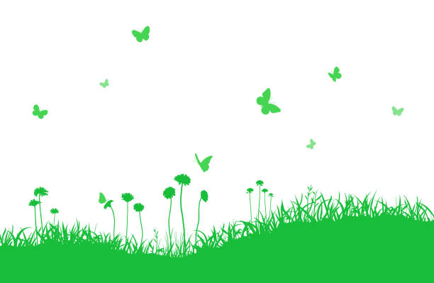 полевой �силуэт фон и летающая бабочка, цветущее растение - grass area illustrations stock illustrations
