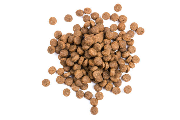 istock Dry cat food isolated on white background close-up top view 1210708122