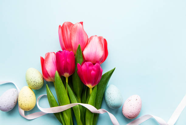 весенние тюльпаны и пасхальные яйца - easter egg retro revival tulip decoration стоковые фото и изображения