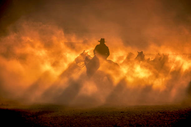 istock Wild horses living in nature 1210713283