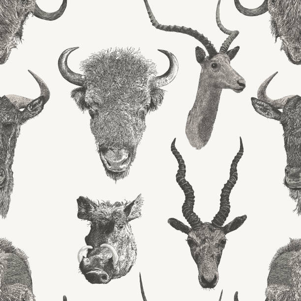animal head trophy seemless repeat - hirschziegenantilope stock-grafiken, -clipart, -cartoons und -symbole