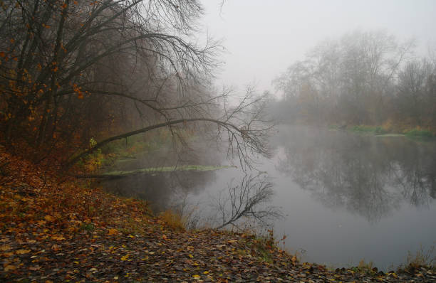 istock River landscape and autumn wood 1210719515