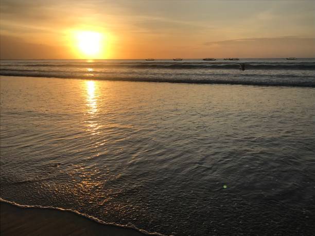 istock Sunset on a beach in Bali 1210730899