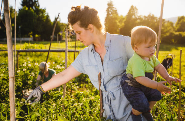 istock Young mother farming with her son 1210731822