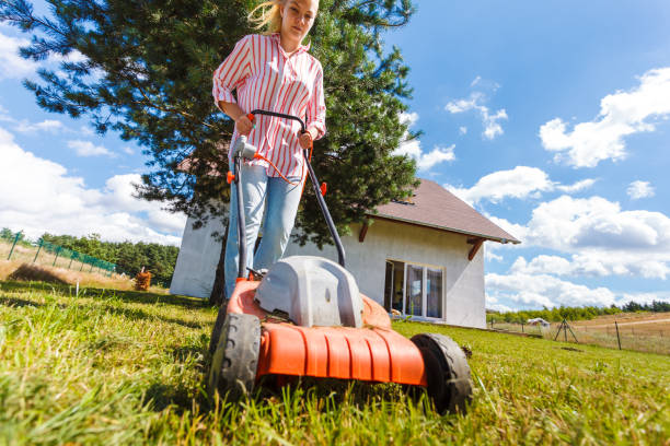 istock Woman mowing green grass 1210732187