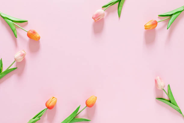 istock Spring floral background, greeting card, top view 1210733621