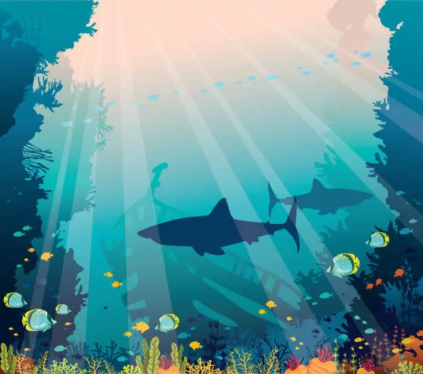 Vector illustration of Underwater sea - sharks, coral reef and sunken ship.