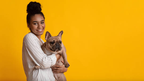 felice donna afro con carino cucciolo di cane bulldog francese in mano - groping foto e immagini stock