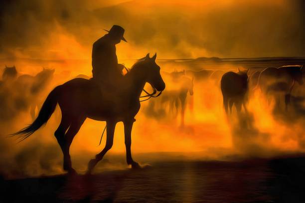 istock Wild horses living in nature 1210739658