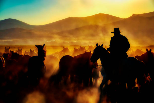 istock Wild horses living in nature 1210739693