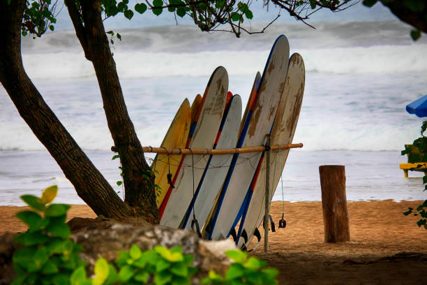 istock Bunch of surfing boards on a sunny day in Bali 1210739903