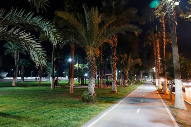 istock image of a park at night lights 1210740055