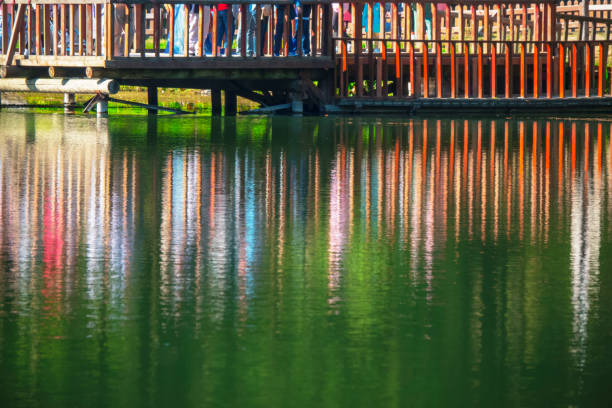 water reflection in the lake