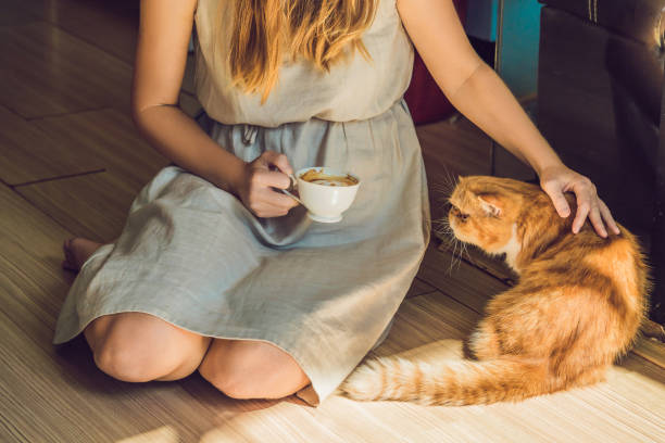 istock Young woman is drinking coffee and stroking the cat 1210742297