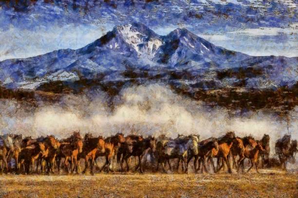 istock Wild horses living in nature 1210748595