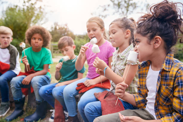 istock Children On Outdoor Activity Camping Trip Eating Marshmallows Around Camp Fire Together 1210748733