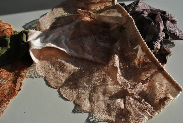 istock Morning in floral lace blooms 1210748789