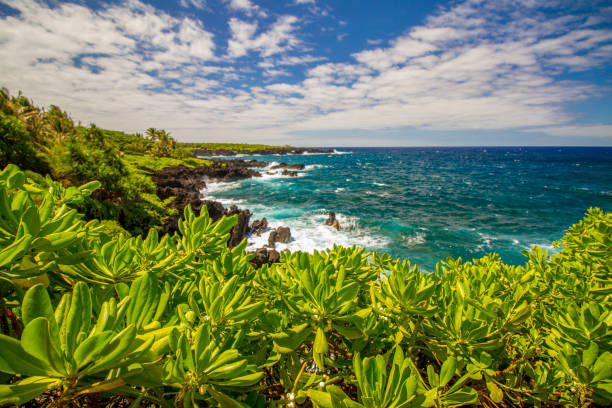 побережье возле дороги в хану на севере острова мауи, гавайи - hana maui sea scenics стоковые фото и изображения