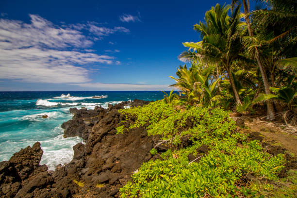 costa cerca de la carretera a hana en el norte de la isla de maui, hawái - hana fotografías e imágenes de stock