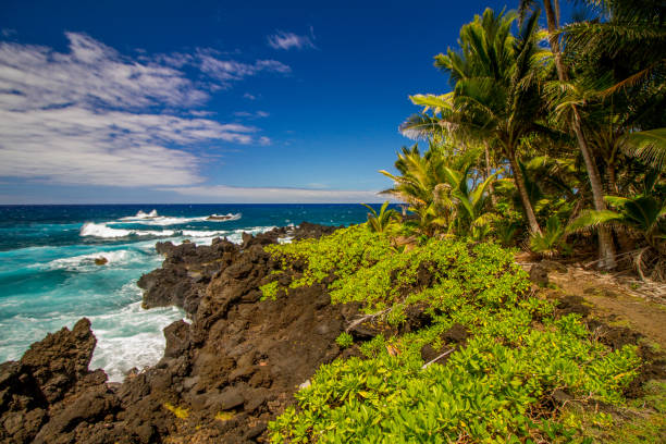wybrzeże w pobliżu drogi do hana na północy wyspy maui na hawajach - hana zdjęcia i obrazy z banku zdjęć