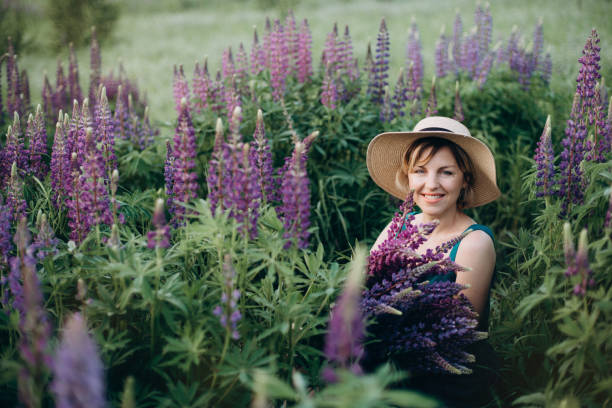 ein schönes romantisches mädchen lächelt in einem kleid und hut sitzt in einem blumenfeld mit einem riesigen strauß von lila lupinenblumen. - lupine single flower flower blue stock-fotos und bilder