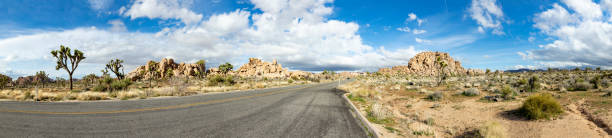 istock landscape with joshua trees in the desert 1210754891