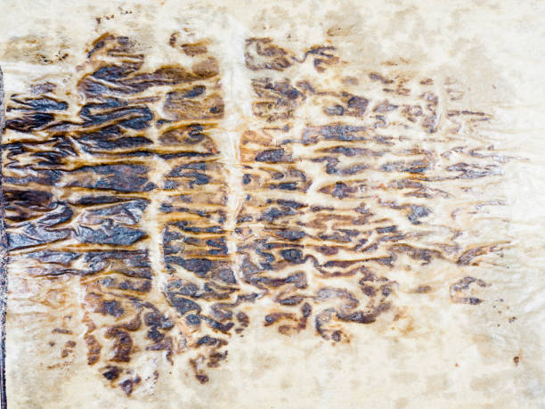 istock Grunge baking paper textured background 1210754984