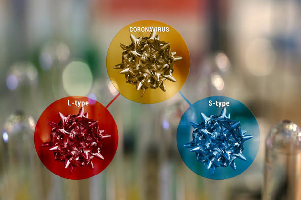 Coronavirus covid-19 mutates to L-type and S-type variations