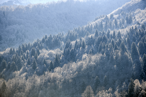 Winter scene in the mountains, Italian Alps, Valsesia