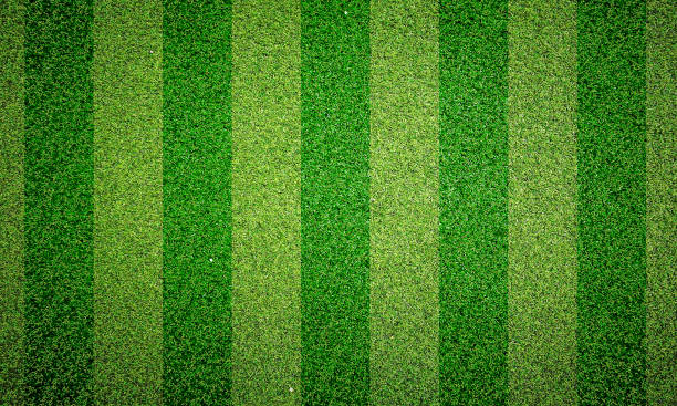 istock Green grass texture background, Green lawn, Backyard for background, Grass texture, Green lawn desktop picture, Park lawn texture. 3D software rendering. 1210756824