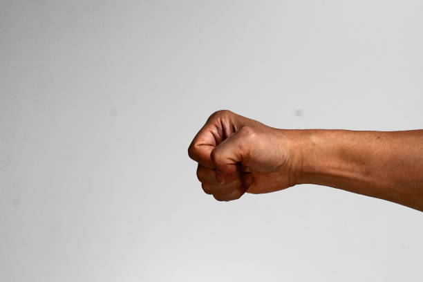 istock Various hand gestures, point, press, fist. Etc 1210757933