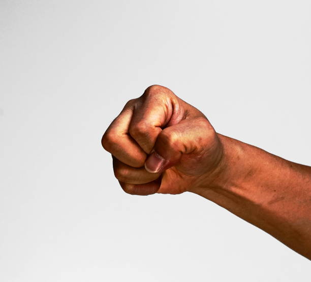 istock Various hand gestures, point, press, fist. Etc 1210758061