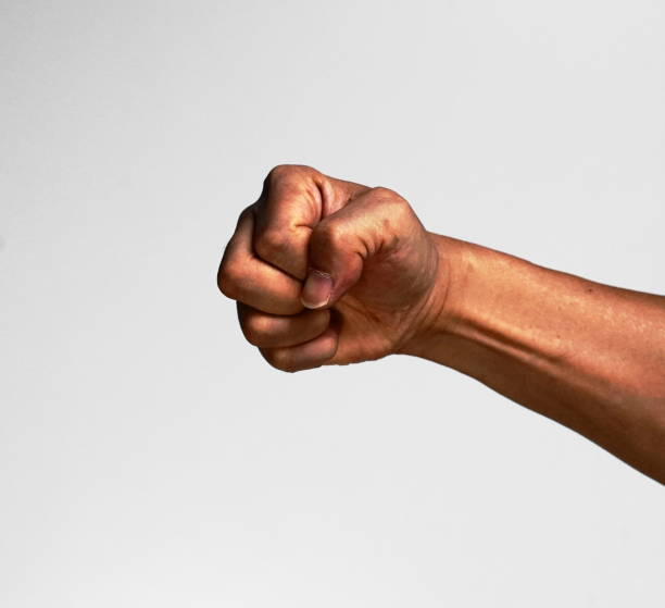 istock Various hand gestures, point, press, fist. Etc 1210758068