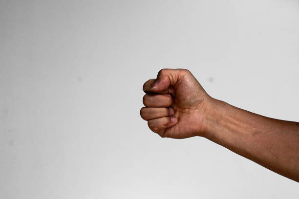 istock Various hand gestures, point, press, fist. Etc 1210758078