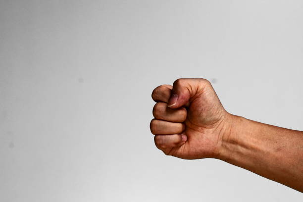 istock Various hand gestures, point, press, fist. Etc 1210758087