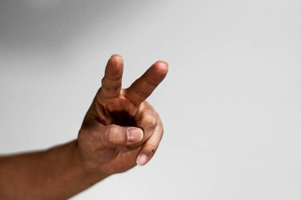 istock Various hand gestures, point, press, fist. Etc 1210758187