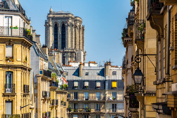 istock Paris wirth Notre Dame in the background 1210759226