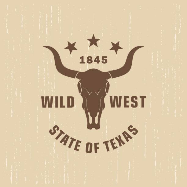 그런지 텍스처가 있는 배경에 버팔로 두개골, 별, 텍스트의 색상 그림. - wild west stock illustrations